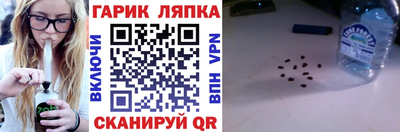дарк нет состав  Рязань  Гашиш Изолятор 