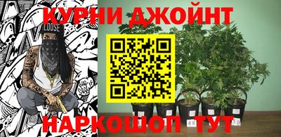 Альфа ПВП Севастополь