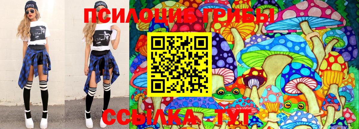 Псилоцибиновые грибы Psilocybe Рязань