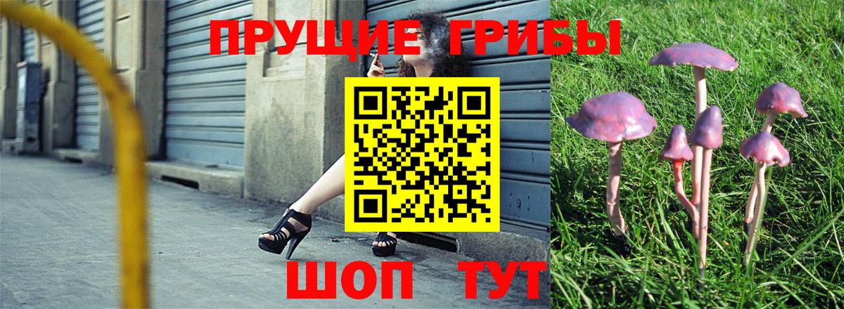 Галлюциногенные грибы Magic Shrooms  купить наркотик  Рязань  Вход с VPN 